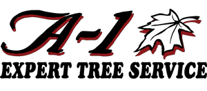 A-1 Expert Tree Service Logo